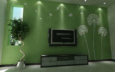 彩工坊硅藻泥 绿色家居新选择