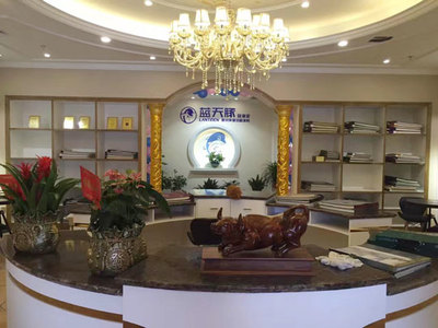 硅藻泥加盟新篇章 浙江绍兴蓝天豚旗舰店盛大开业引领家居环保潮流